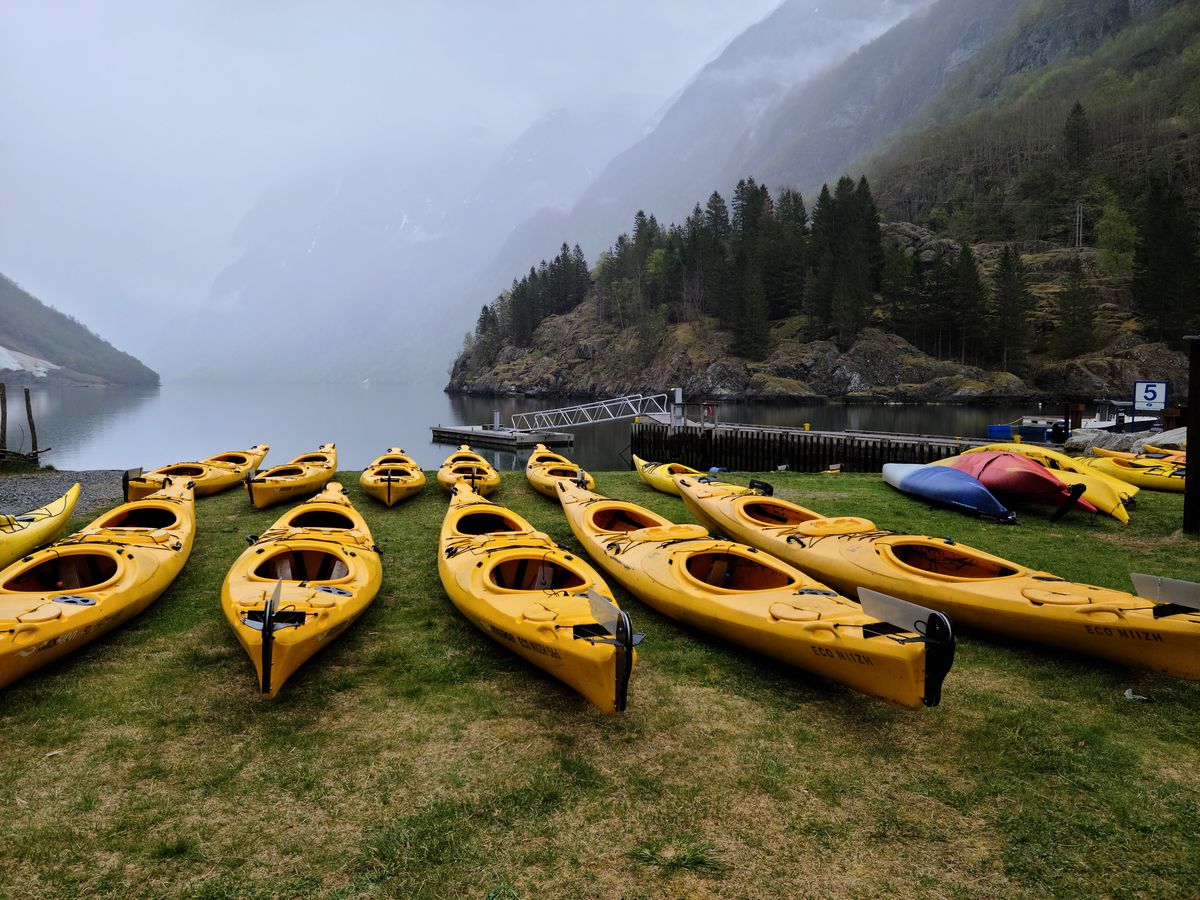 Gule kajakker på rekke ved en fjord i Norge